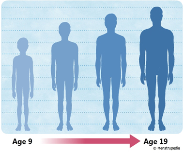 illustration of growth in height during puberty in boys from age 9 to age 19 - Menstrupedia