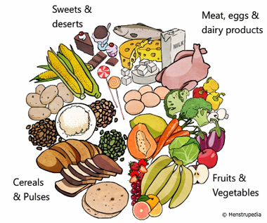 illustration of balanced diet containing adequate amount of meat, eggs and dairy products, fruits and vegetables, cereals and pulses and sweets and deserts - Menstrupedia