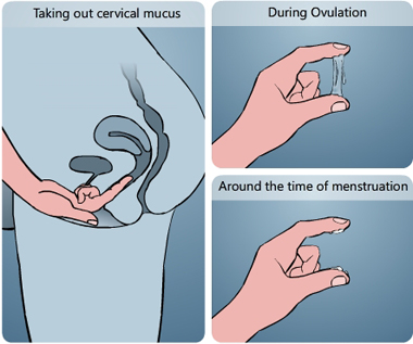 What Does Discharge Look Like Before Your Period?