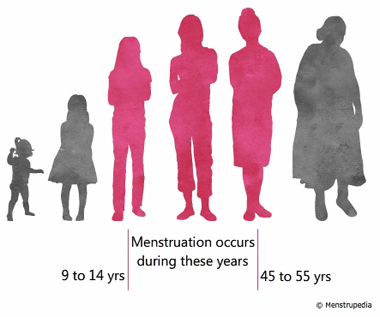 illustration of female at different phases of her life. phases between 9 years and 55 years have been highlighted to indicate the fertile phase in a female's life - Menstrupedia