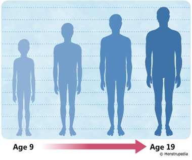 Physical changes in puberty