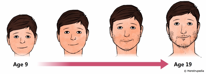 illustration of appearance of facial hair during puberty in boys from age 9 to age 19 - Menstrupedia
