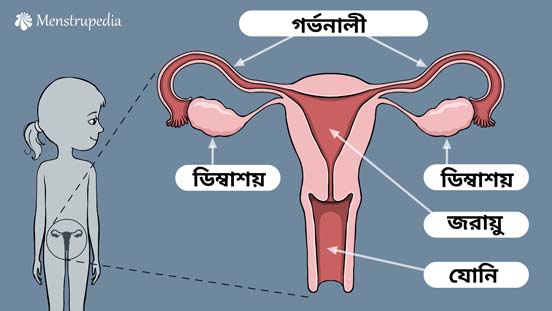 Trainer's Guide: How to conduct a menstrual awareness workshop